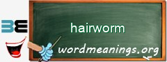 WordMeaning blackboard for hairworm